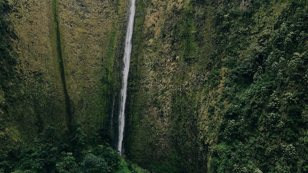 La cascada Hi'ilawe de 1450 pies de altura en el valle de Waipio. Isla Grande, Hawái