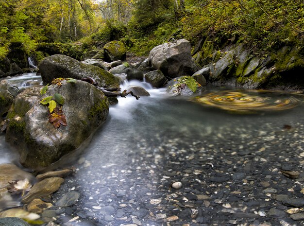 Cascada con hojas sobre rocas en la pradera con agua que fluye