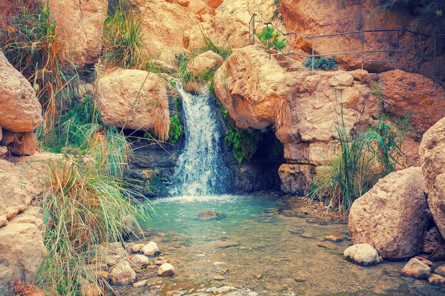 La cascada inferior en la reserva Ein Gedi, Israel