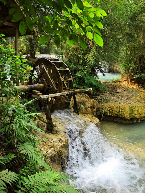 La cascada en la jungla, Laos