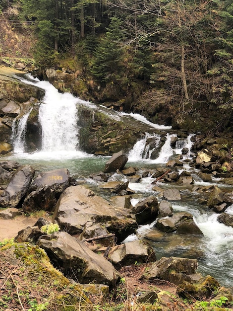 Cascada Kamyanets Lviv