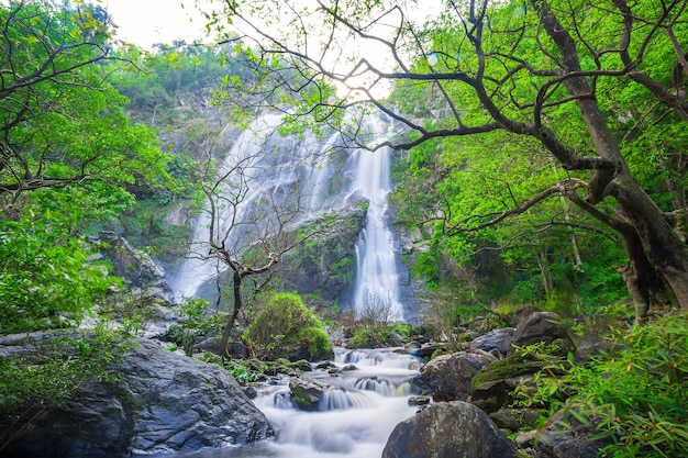 La cascada Khlong Lan es una hermosa cascada en la selva tropical de Tailandia