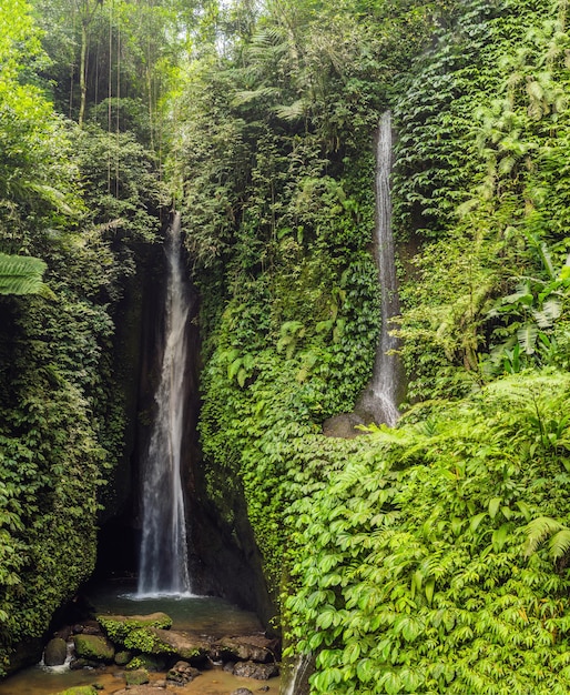 Cascada de Leke Leke en la isla de Bali Indonesia.