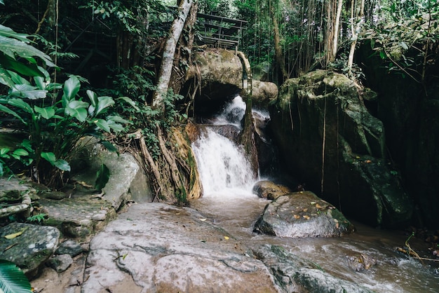 Cascada de Mae Kampong en Chiang Mai Tailandia