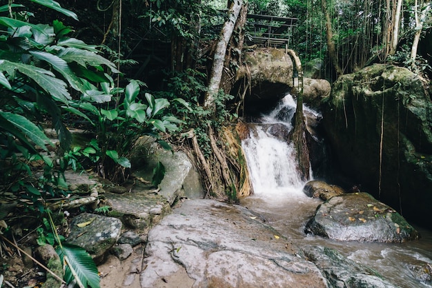 Cascada de Mae Kampong en Chiang Mai Tailandia