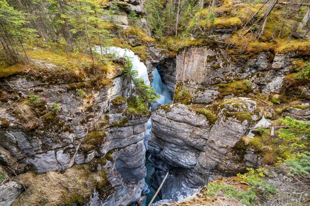 Cascada Maligne Canyon en verano Parque Nacional Jasper Alberta Canada