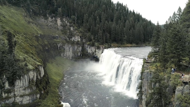 Una cascada en medio de un bosque