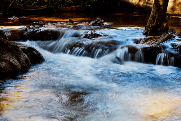 Cascada de la montaña del bosque natural en Tailandia