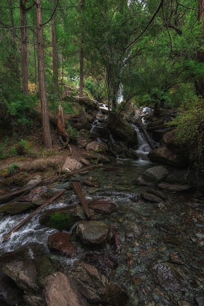 Cascada en las montañas de Altai