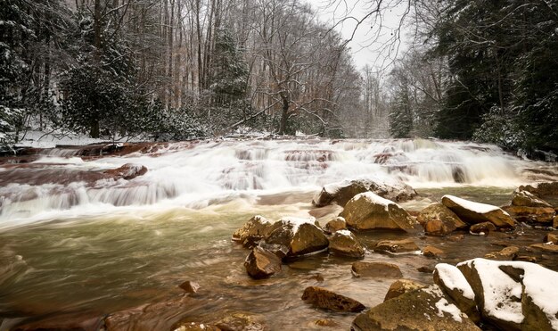 Cascada en Muddy Creek cerca de Albright WV