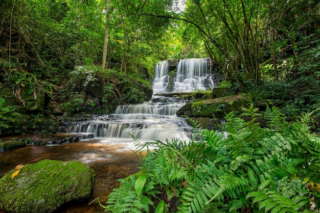 Foto cascada de mun-dang con flor antirrhinum en la provincia de petchaboon, tailandia