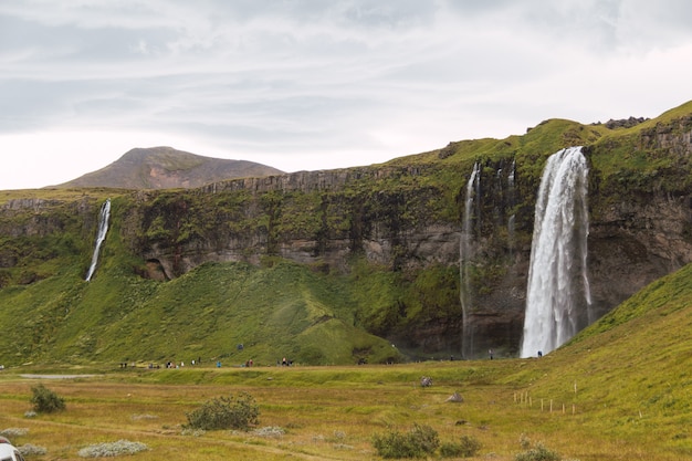 Cascada muy alta y hermosa en Islandia. Cascada de ensueño en los verdes valles de la hermosa isla de Islandia