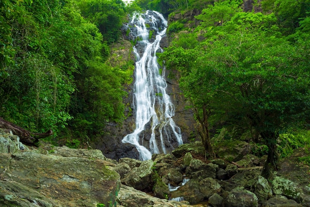 Cascada natural en el bosque