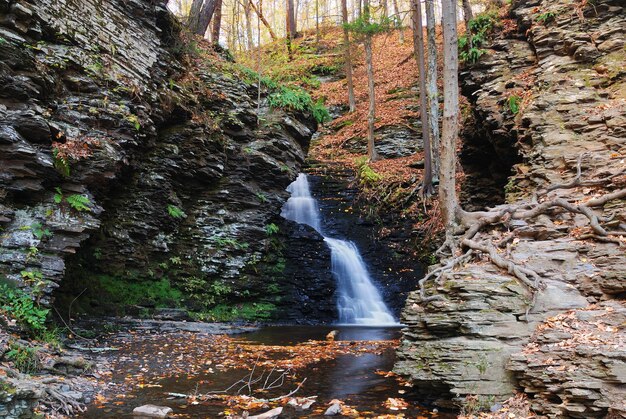 Cascada de otoño en la montaña con rocas y follaje