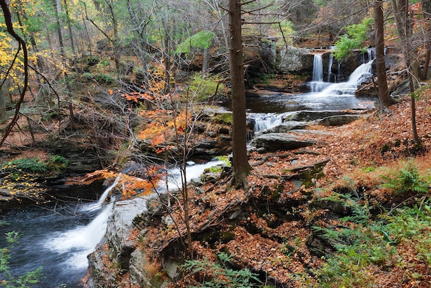 Cascada de otoño en la montaña