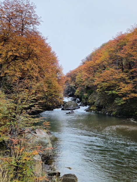 Cascada en paisaje en otoño