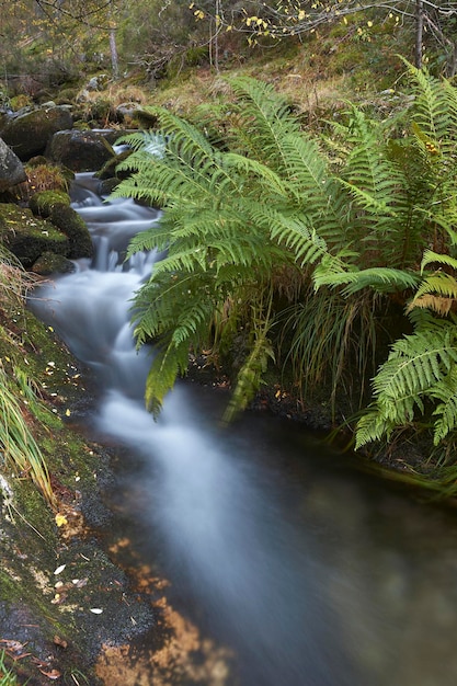 Cascada en el Parque Nacional de Guadarrama