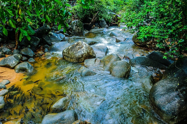 Cascada de Phlio