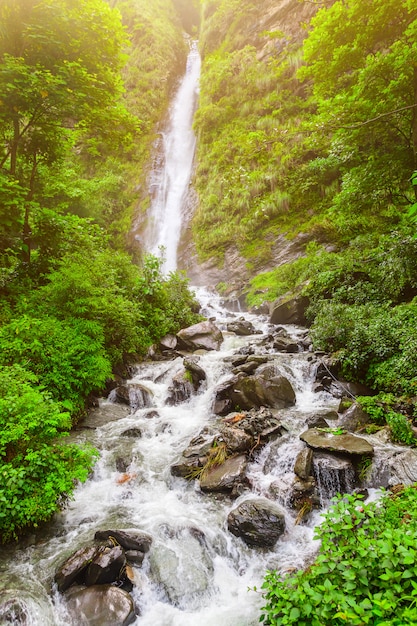 Cascada y plantas verdes en Nepal