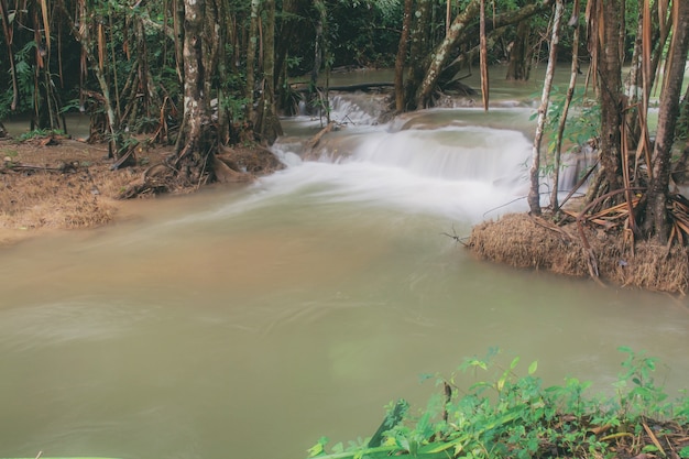 Cascada en la primavera.