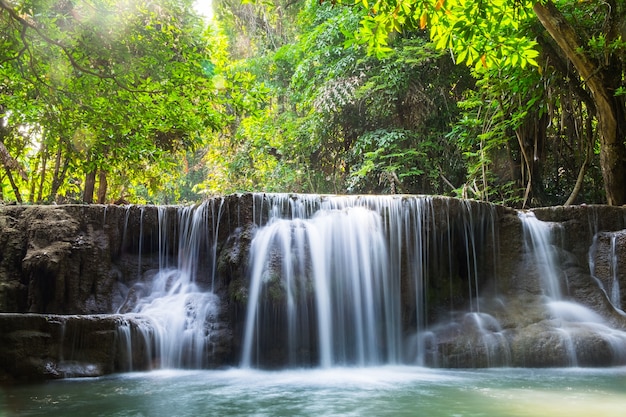 Cascada profunda bosque escénico natural luz solar