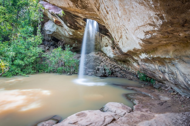 Cascada que cae del agujero en bosque verde.