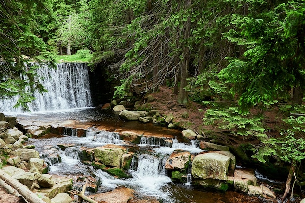 Cascada en el río Lomnica en Karpacz Polonia