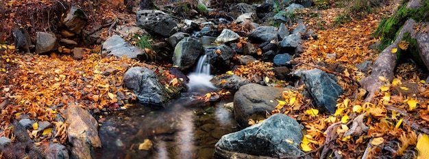 Cascada en el río de la montaña en el bosque de otoño