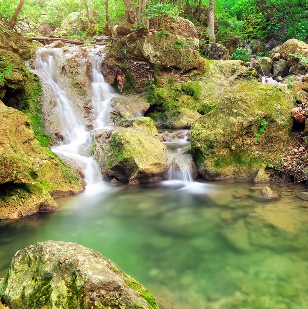 Cascada. Río de montaña. Madera de primavera y río.