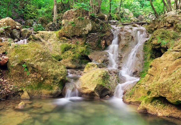 Cascada. Río de montaña. Madera de primavera y río.