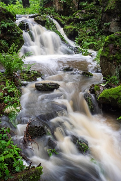 Cascada río salvaje Doubrava en República Checa Valle Doubrava cerca de Chotebor