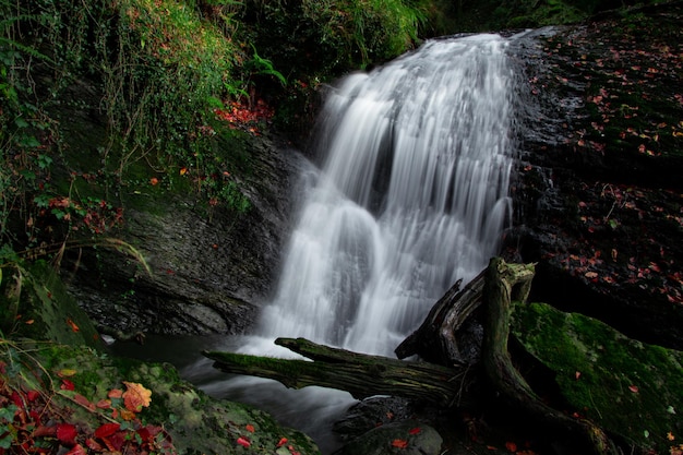 Cascada del río Uguna en el bosque del Parque Natural de Urkiola