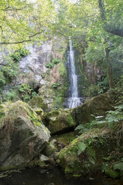 Cascada y río en Villayon Asturias España