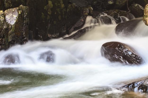 Foto cascada y rocas cubiertas de musgo