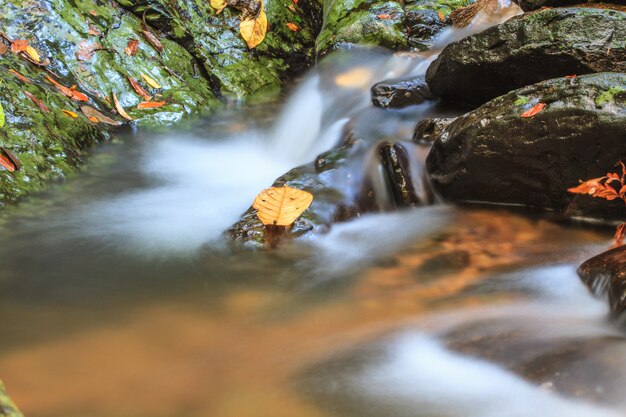 Cascada y rocas cubiertas de musgo.