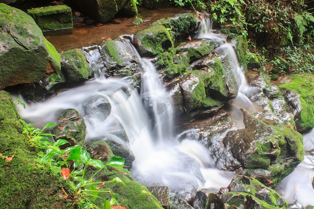 Cascada y rocas cubiertas de musgo