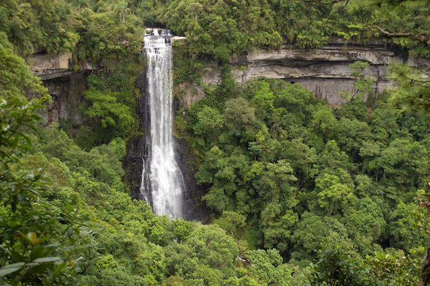 Cascada en Santa Catarina, Brasil