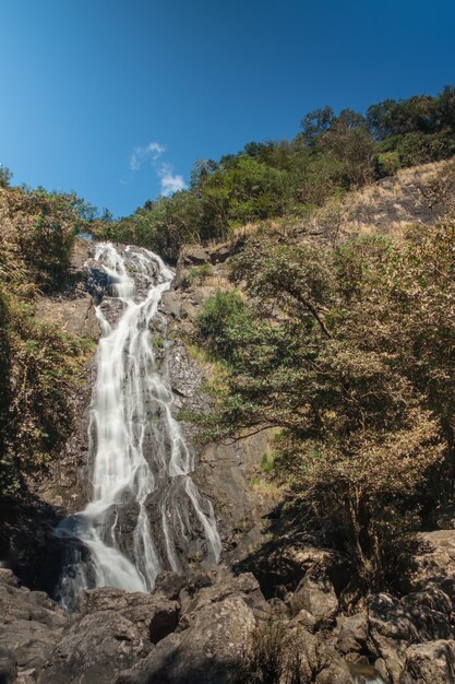 Cascada Sarika