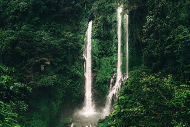 Cascada Sekumpul en Bali rodeada de bosque tropical