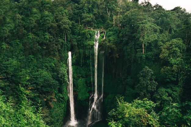 Cascada Sekumpul en Bali rodeada de bosque tropical