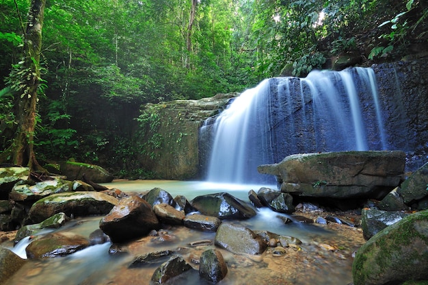 Cascada en una selva de Borneo Kota Kinabalu Sabah Malasia