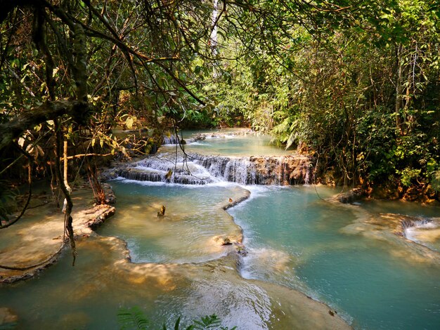 La cascada en la selva Laos