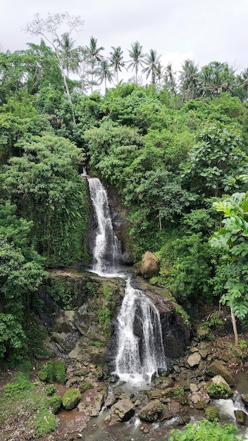 Una cascada en la selva tropical Agua corriendo por un acantilado rocoso