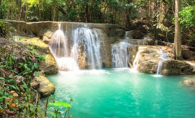 Cascada selva tropical escénica