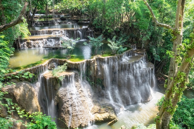 Cascada selva tropical hermosa natural