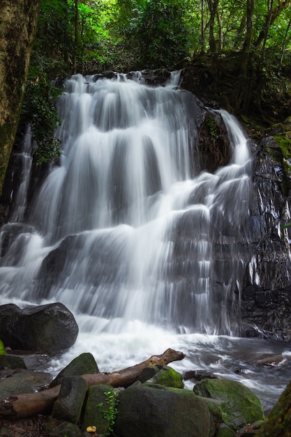 Cascada en la selva tropical, parque nacional de Ton Nga Chang