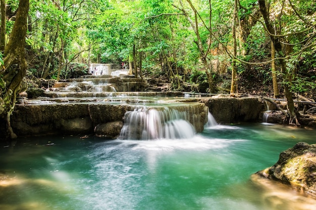 Cascada selva tropical