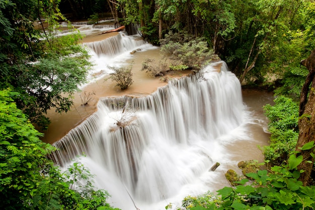 Cascada de selva tropical