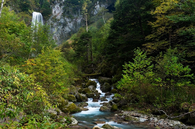 Cascada en la selva