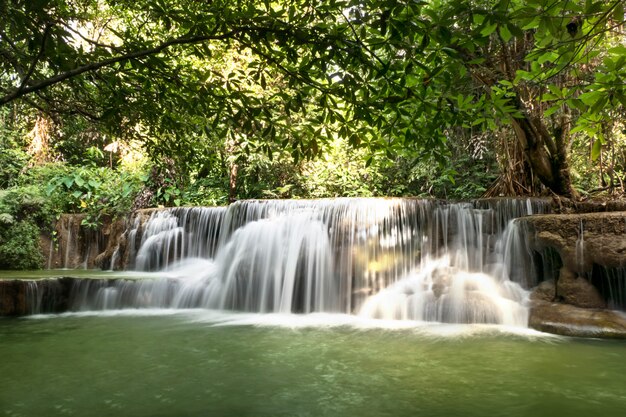 Cascada en la selva